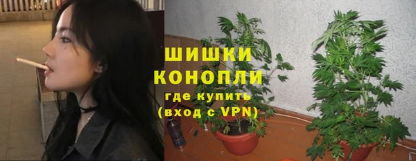 спиды Богородск